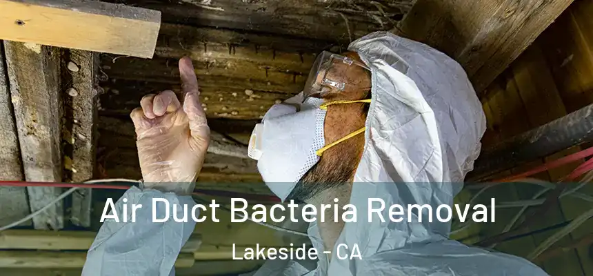  Air Duct Bacteria Removal Lakeside - CA
