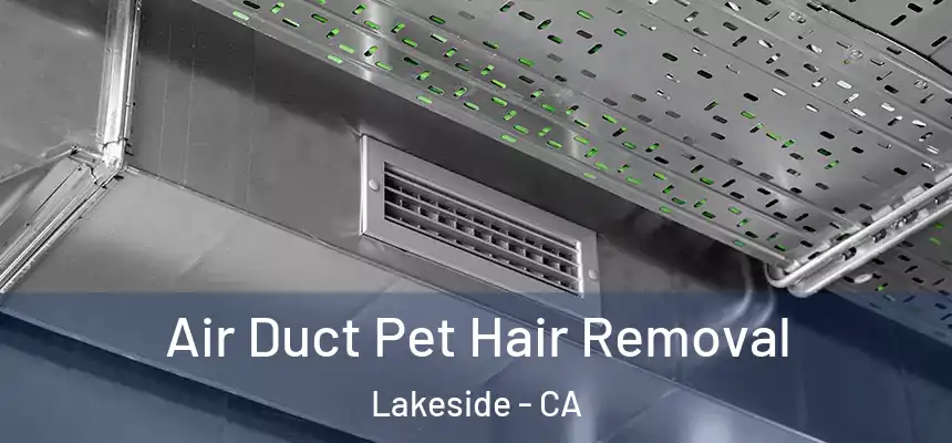 Air Duct Pet Hair Removal Lakeside - CA