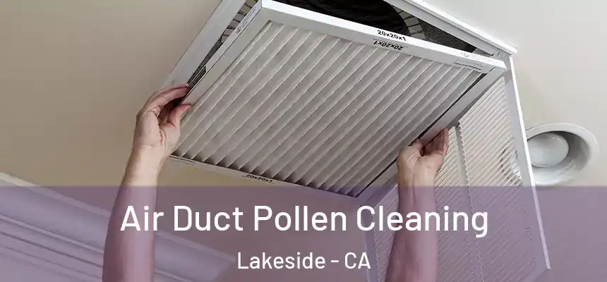 Air Duct Pollen Cleaning Lakeside - CA