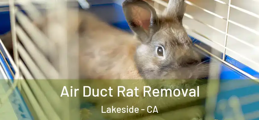 Air Duct Rat Removal Lakeside - CA