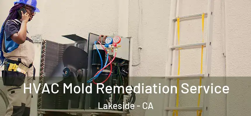  HVAC Mold Remediation Service Lakeside - CA