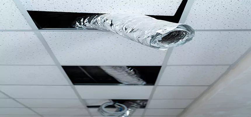 Affordable HVAC Sanitizing After Pest Removal in Lakeside