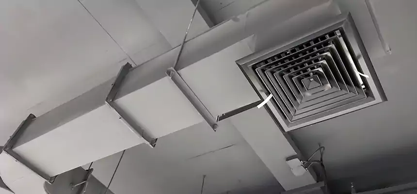 Restorative Allergy Relief Vent Cleaning – Coil, Blower & Housing Detail in Lakeside