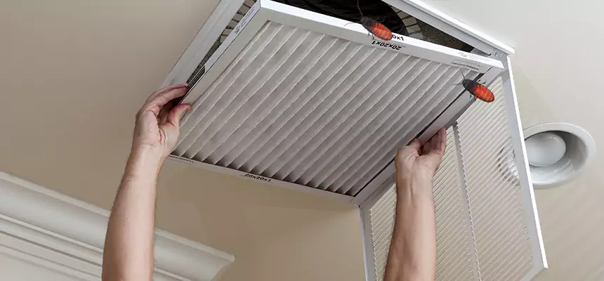 Our Insect Removal from Air Ducts Services in Lakeside, CA