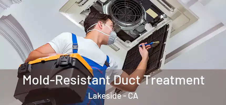  Mold-Resistant Duct Treatment Lakeside - CA