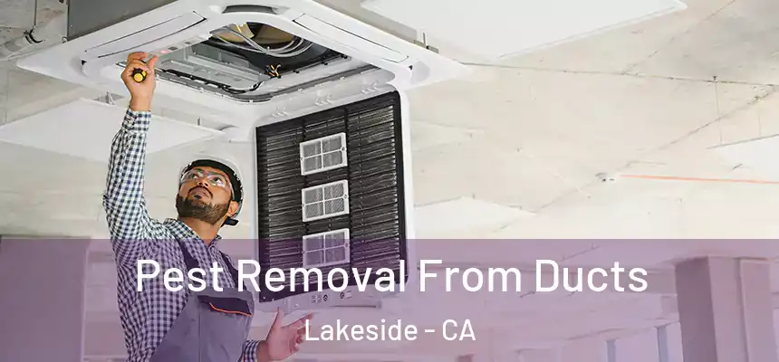  Pest Removal From Ducts Lakeside - CA