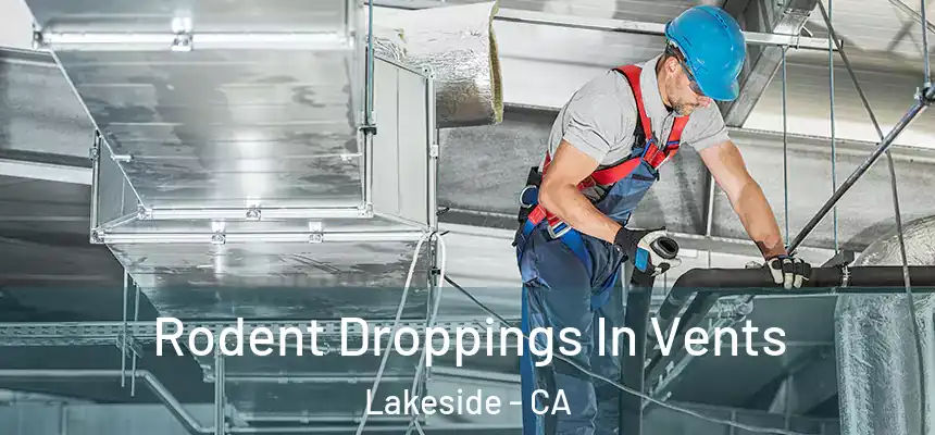  Rodent Droppings In Vents Lakeside - CA