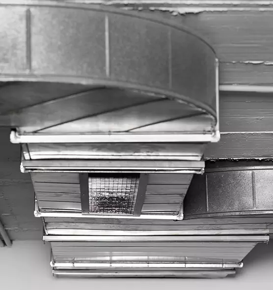 Professional Air Duct Pest Removal in Lakeside, CA