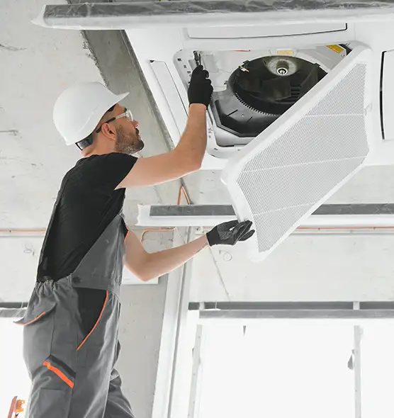 About Air Duct Rodent Removal in Lakeside, CA