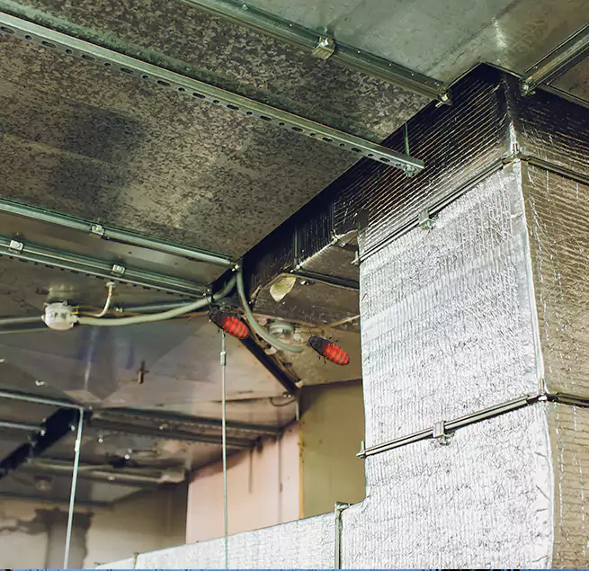 Why Homeowners & Businesses Trust Us in Lakeside, CA?