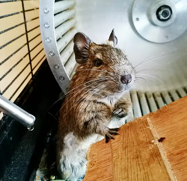 Why Homeowners & Businesses Trust Us Lakeside, CA