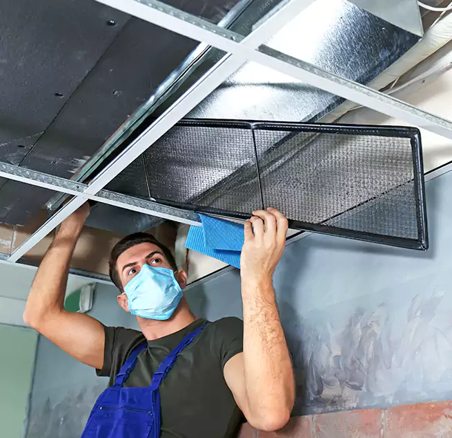 Why Homeowners Businesses Trust Us in Lakeside, CA